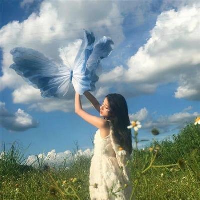 芙蓉女 在线观看封面