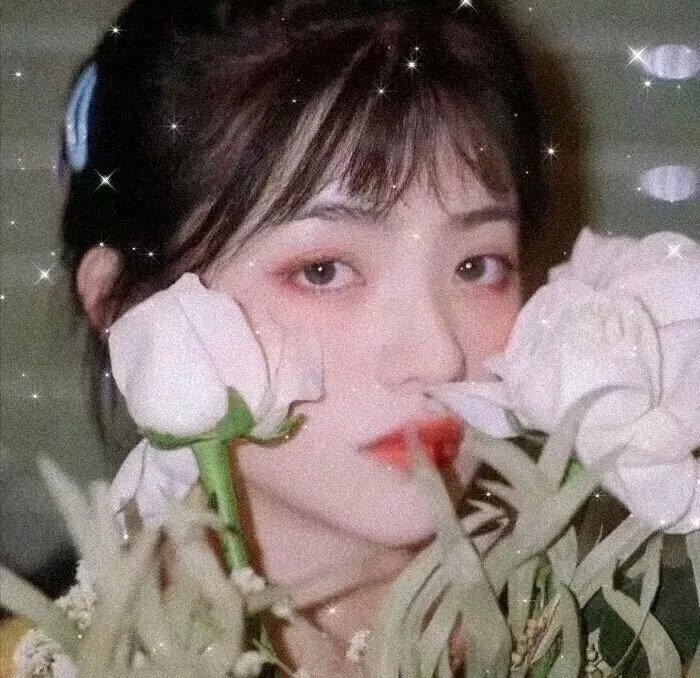 万物生灵第一季 在线观看封面